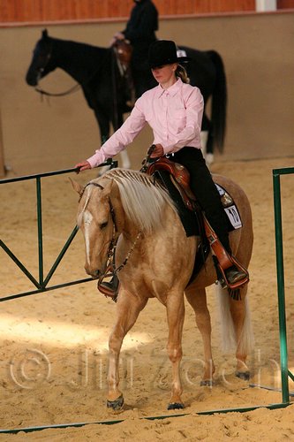 QH062_1711n.jpg