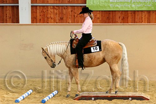 QH062_1718n.jpg