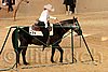 QH062_1633n.jpg