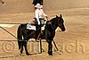 QH062_1634n.jpg
