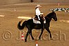 QH062_1636n.jpg