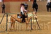 QH062_1645n.jpg