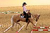 QH062_1651n.jpg