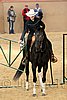 QH062_1666n.jpg