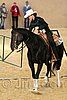 QH062_1667n.jpg