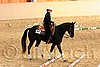 QH062_1670n.jpg