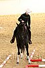 QH062_1674n.jpg