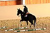 QH062_1675n.jpg