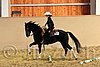 QH062_1676n.jpg