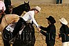 QH062_1684n.jpg