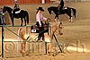QH062_1687n.jpg
