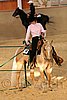 QH062_1688n.jpg