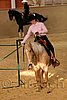 QH062_1689n.jpg
