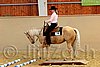 QH062_1700n.jpg
