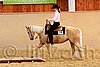 QH062_1717n.jpg