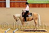 QH062_1718n.jpg