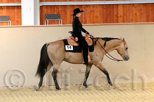 QH062_2030n.jpg