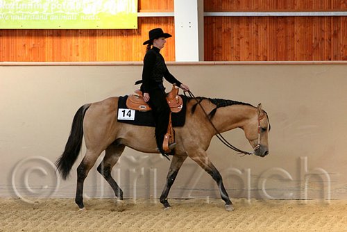 QH062_2033n.jpg