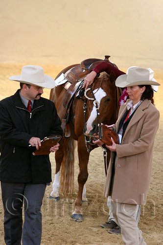 QH062_2082n.jpg