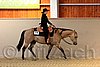 QH062_2033n.jpg