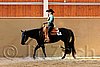 QH062_2046n.jpg