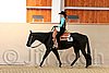 QH062_2060n.jpg