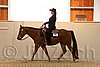 QH062_2066n.jpg