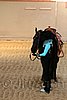 QH062_2078n.jpg