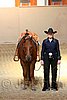 QH062_2085n.jpg