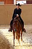 QH062_2100n.jpg