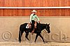 QH062_2120n.jpg