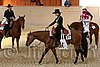QH062_2136n.jpg