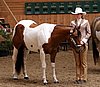 IMG_0243up.jpg