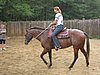 IMG_3403.JPG
