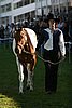 IMG_5407.jpg