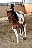 IMG_0065n.jpg(157 KB)