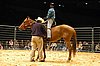 DSC_0093.JPG