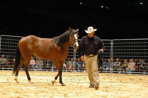 show-ApSmart-napojeni.jpg