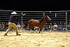show-ApSmart-odehnani.jpg