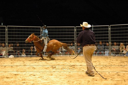DSC_0095.JPG