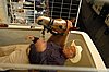 DSC_0017.JPG