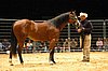 DSC_1017.JPG