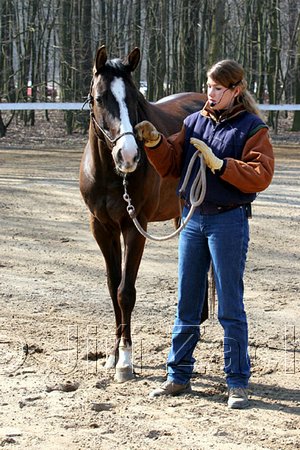 IMG_0673web.jpg