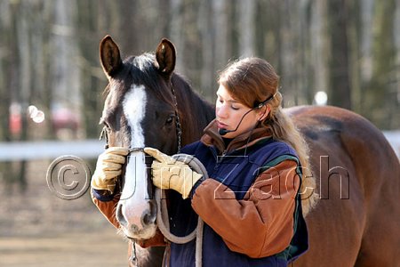 IMG_0674web.jpg