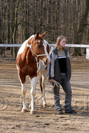 IMG_0679web.jpg