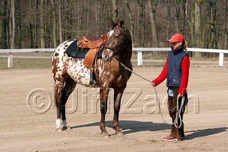 IMG_0682web.jpg
