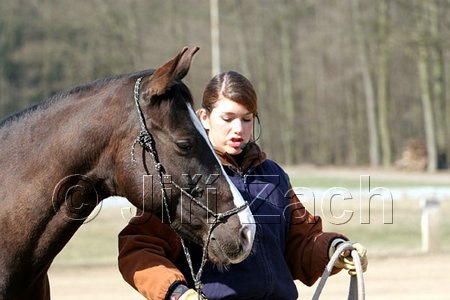 IMG_0696web.jpg