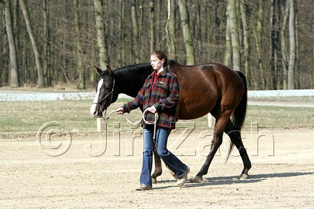 IMG_0708web.jpg