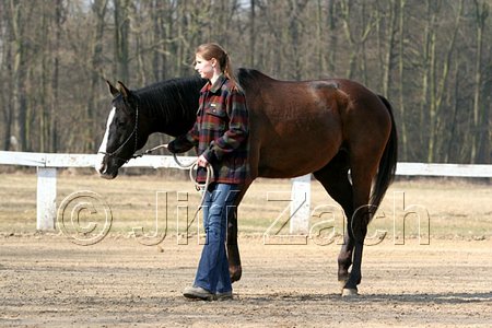 IMG_0713web.jpg