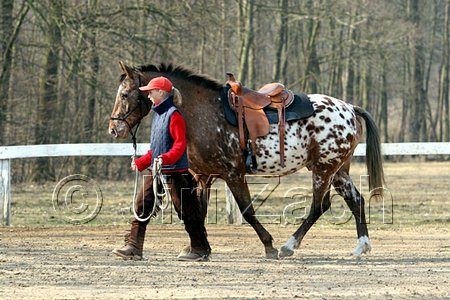 IMG_0721web.jpg